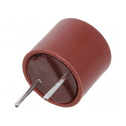 Siguranță întârziere 3,15A 250V THT TR5 Cupru | Electronic-mag.ro | Componente Electronice