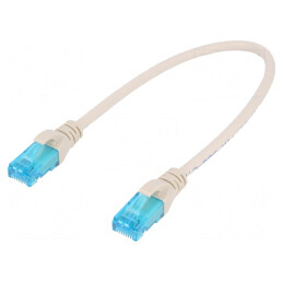 Patch Cord UTP Cat5e 0.25m Gri | Electronic-mag.ro | Componente Electronice
