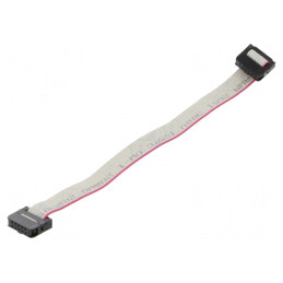 Cablu Panglică IDC 1mm 15cm