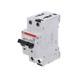 Întrerupător de supracurent 415VAC 10A 2 poli C | Electronic-mag.ro | Componente Electronice