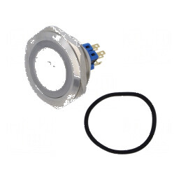 Comutator anti-vandalism IP65 x2 | Electronic-mag.ro | Componente Electronice