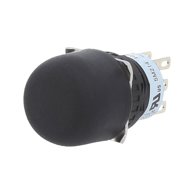Buton de autorizare HE5B DPDT IP65 | Electronic-mag.ro | Componente Electronice