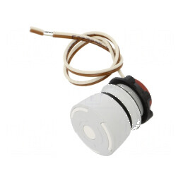 Comutator de siguranţă 22mm cu 2 contacte NC, gri, deschis fără | Electronic-mag.ro | Componente Electronice