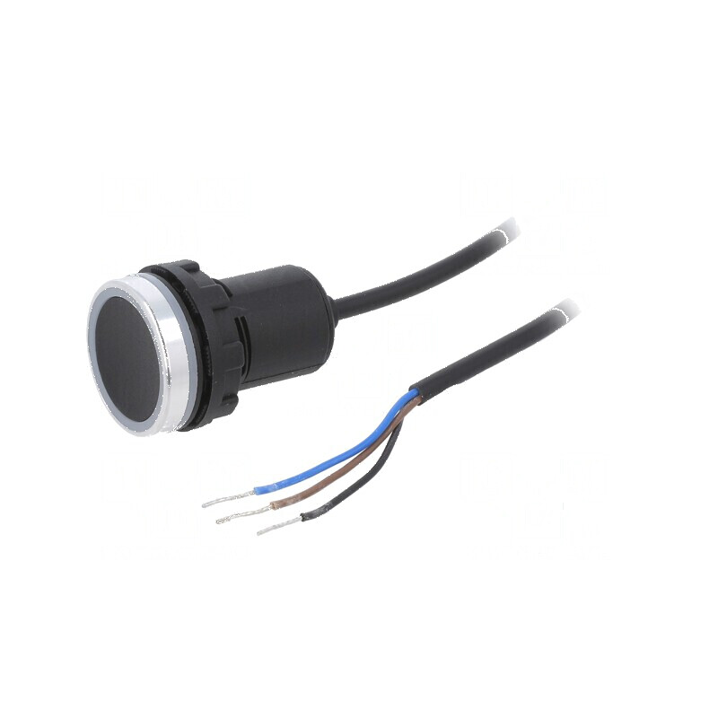 Comutator capacitiv OUT PNP NO 22mm | Electronic-mag.ro | Componente Electronice