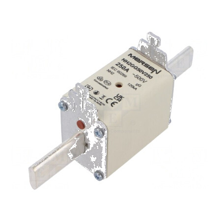 Siguranţă gG 250A 500VAC 250VDC NH2 - Siguranţă de tip gG 250A 500VAC 250VDC NH2 | Electronic-mag.ro | Componente Electronice