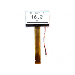 Afișaj LCD grafic alb 128x64 mm | Electronic-mag.ro | Componente Electronice