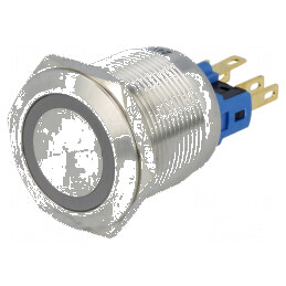 Comutator anti-vandalism cu două poziții | Electronic-mag.ro | Componente Electronice