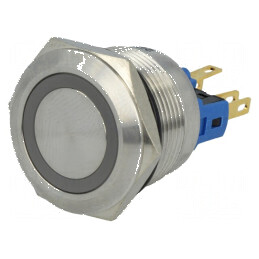 Comutator anti-vandalism cu două poziții | Electronic-mag.ro | Componente Electronice