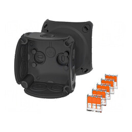 Carcasă de conexiuni IP66 neagră | Electronic-mag.ro | Componente Electronice