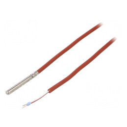 Senzor de temperatură Pt100 Ø6x50mm | Electronic-mag.ro | Componente Electronice