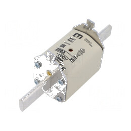 Siguranţă ceramică industrială de 250A 500VAC NH2C | Electronic-mag.ro | Componente Electronice