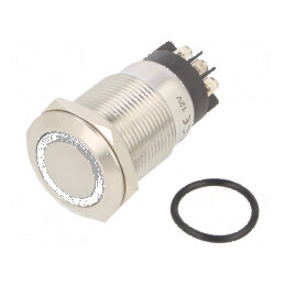 Comutator anti-vandalism SPDT IP65 | Electronic-mag.ro | Componente Electronice