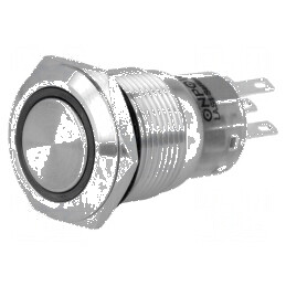 Comutator anti-vandalism 2 SPDT 0,5A/220VAC 1A/24VDC | Electronic-mag.ro | Componente Electronice