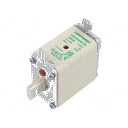 Siguranţă ceramică aM 100A 500VAC industrială NH00 | Electronic-mag.ro | Componente Electronice
