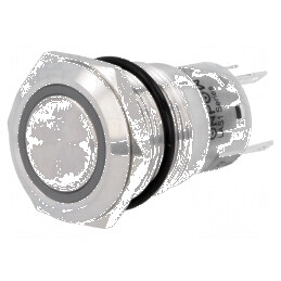 Comutator anti-vandalism Poz 2 SPDT 0,5A 220VAC 1A 24VDC | Electronic-mag.ro | Componente Electronice