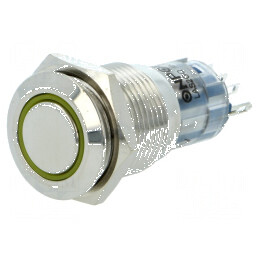 Comutator anti-vandalism 2 SPDT 0,5A/220VAC 1A/24VDC | Electronic-mag.ro | Componente Electronice