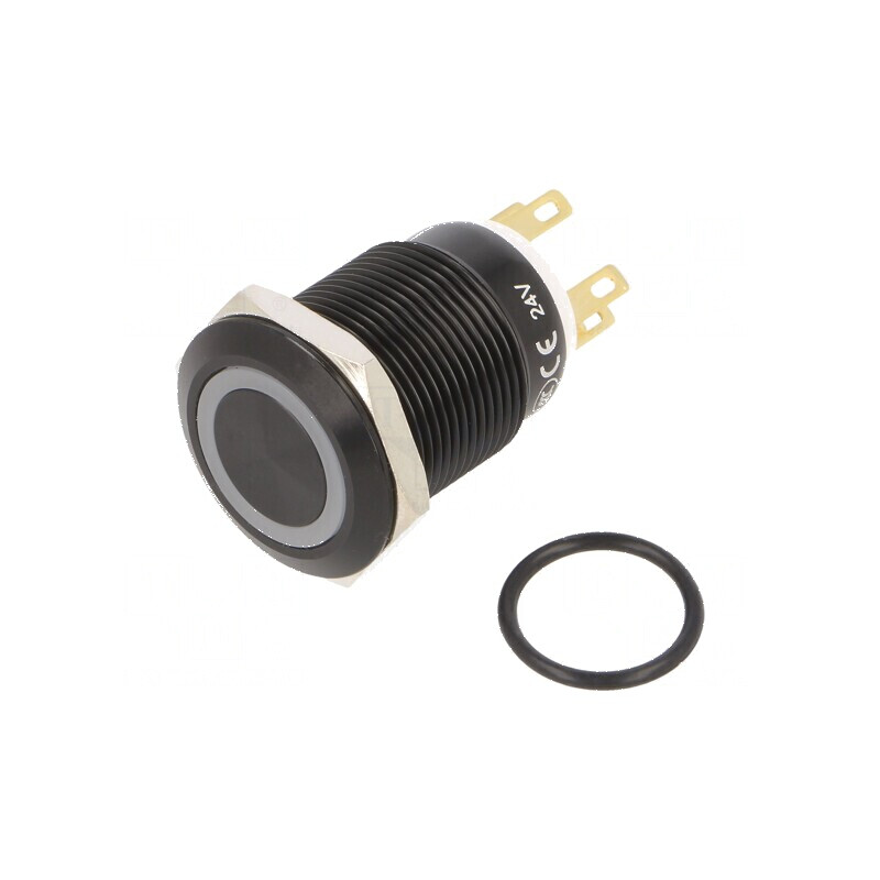 Comutator anti-vandalism SPDT 3A/220VAC 5A/24VDC IP65 | Electronic-mag.ro | Componente Electronice