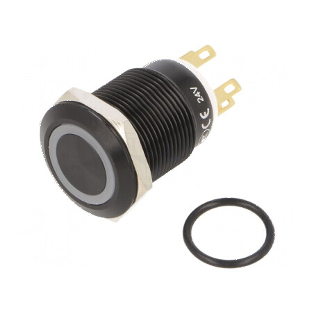 Comutator anti-vandalism SPDT 3A/220VAC 5A/24VDC IP65 | Electronic-mag.ro | Componente Electronice