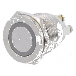 Comutator anti-vandalism Poz 2 SPST-NO 0,5A 220VAC 2A 36VDC | Electronic-mag.ro | Componente Electronice