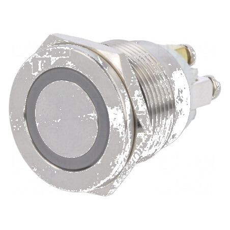 Comutator anti-vandalism Poz 2 SPST-NO 0,5A 220VAC 2A 36VDC | Electronic-mag.ro | Componente Electronice