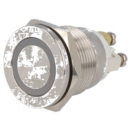 Comutator anti-vandalism 2 SPST-NO 0,5A/220VAC 2A/36VDC | Electronic-mag.ro | Componente Electronice