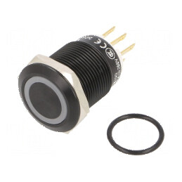 Comutator anti-vandalism Poz 2 SPDT 3A 220VAC 5A 24VDC IP65 | Electronic-mag.ro | Componente Electronice