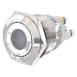 Comutator anti-vandalism SPST-NO 0,5A/220VAC 2A/36VDC | Electronic-mag.ro | Componente Electronice