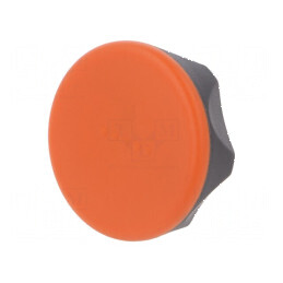 Buton de reglare 70mm ERGOSTYLE® Filet M10 H: 35mm | Electronic-mag.ro | Componente Electronice