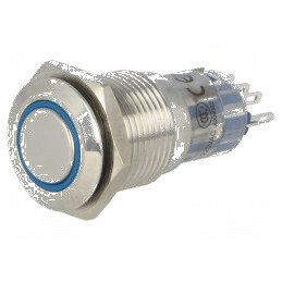 Comutator anti-vandalism 2 SPDT 0,5A/220VAC 1A/24VDC | Electronic-mag.ro | Componente Electronice