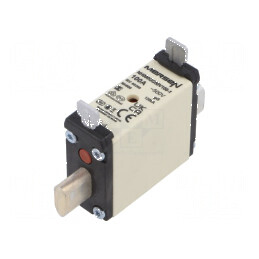Siguranţă gG 100A 500VAC ceramică industrială NH000 | Electronic-mag.ro | Componente Electronice