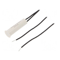 Senzor Reed Rază 21mm Pîntrerupător 5W Ø10,7x31mm SPST-NC | Electronic-mag.ro | Componente Electronice