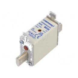 Siguranţă gG 63A 400VAC ceramică industrială NH000 | Electronic-mag.ro | Componente Electronice