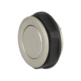 Comutator anti-vandalism Poz 2 SPST-NO 0,125A 48VDC IP65 | Electronic-mag.ro | Componente Electronice