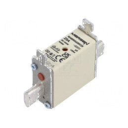 Siguranţă gG 25A 500VAC 250VDC ceramică industrială | Electronic-mag.ro | Componente Electronice