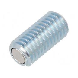 Şurub de presiune M10 20mm Cl.rezist: 5.8 cu magnet | Electronic-mag.ro | Componente Electronice