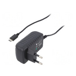 Alimentator pulsatoriu plug-in 5VDC 2A 10W | Electronic-mag.ro | Componente Electronice