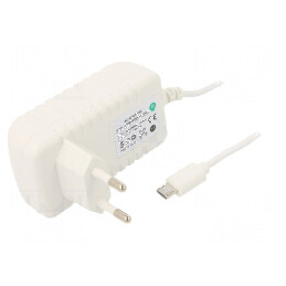 Alimentator pulsatoriu 5VDC 2A 10W Plug-in | Electronic-mag.ro | Componente Electronice