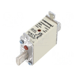 Siguranţă gG 50A 500VAC 250VDC ceramică industrială | Electronic-mag.ro | Componente Electronice