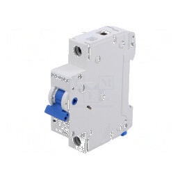 Întrerupător de supracurent 230/400VAC 6A 10kA Poli 1 | Electronic-mag.ro | Componente Electronice