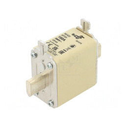 Siguranţă gG 160A 500VAC 250VDC ceramică NH00 | Electronic-mag.ro | Componente Electronice