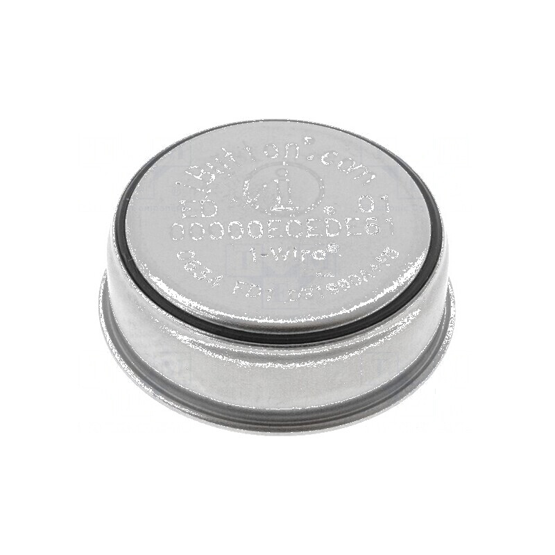 Memorie ROM 8BROM iButton F5 Serial 2,8-6VDC | Electronic-mag.ro | Componente Electronice