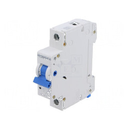 Întrerupător de supracurent 230/400VAC 4A 6kA Poli 1 | Electronic-mag.ro | Componente Electronice