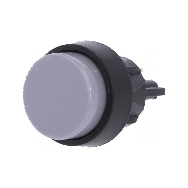 Comutator apăsare Poz 2 SPST-NO 2A 250VAC IP40 | Electronic-mag.ro | Componente Electronice Comutator apăsare Poz 2 SPST-NO 2A 250VAC IP40 | Electronic-mag.ro | Componente Electronice