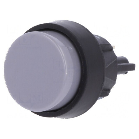 Comutator apăsare Poz 2 SPST-NO 2A 250VAC IP40 | Electronic-mag.ro | Componente Electronice