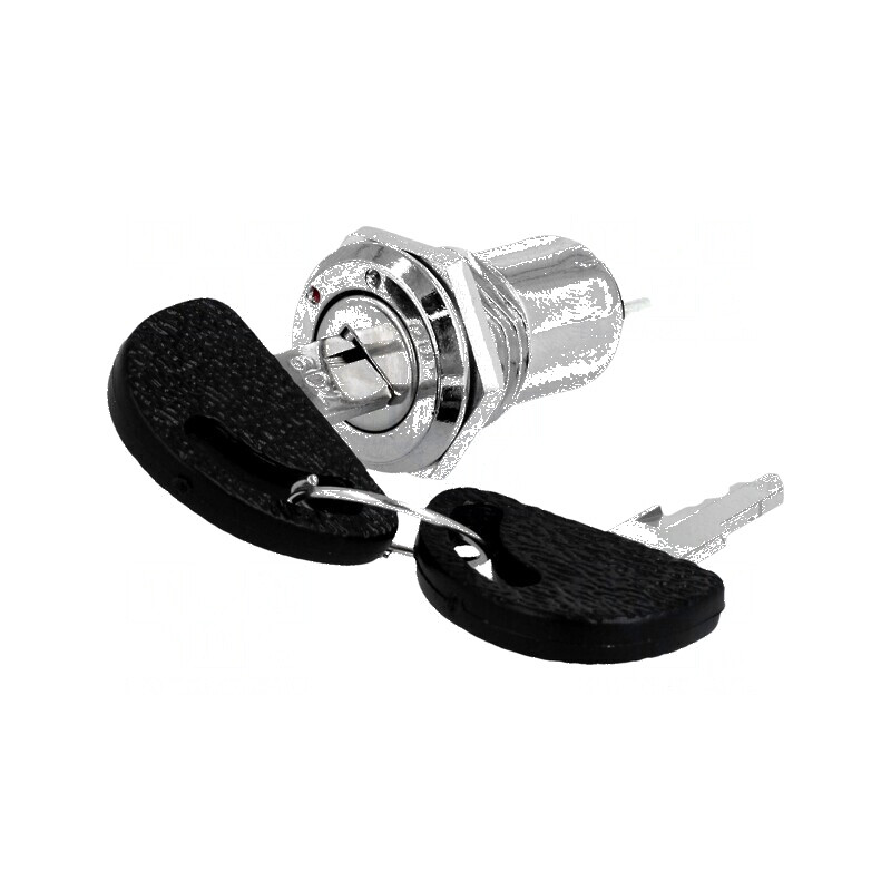 Comutator întrerupător cu cheie Poz.i stab 2 Pini SPST 60° | Electronic-mag.ro | Componente Electronice Comutator întrerupător cu cheie Poz.i stab 2 Pini SPST 60° | Electronic-mag.ro | Componente Electronice
