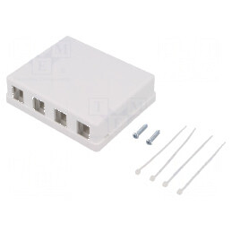 Carcasa RJ45 soclu Keystone albă murale mamă | Electronic-mag.ro | Componente Electronice