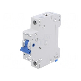 Întrerupător de supracurent 10A 230/400VAC 1 Poli 4,5kA | Electronic-mag.ro | Componente Electronice
