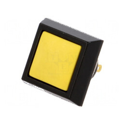 Comutator anti-vandalism Poz 2 SPST-NO 2A 36VDC IP65 | Electronic-mag.ro | Componente Electronice