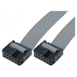 Cablu de conectare Raster 2,54mm 1000mm | Electronic-mag.ro | Componente Electronice