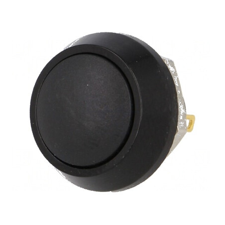 Comutator anti-vandalism SPST-NO 2A/36VDC IP65 | Electronic-mag.ro | Componente Electronice
